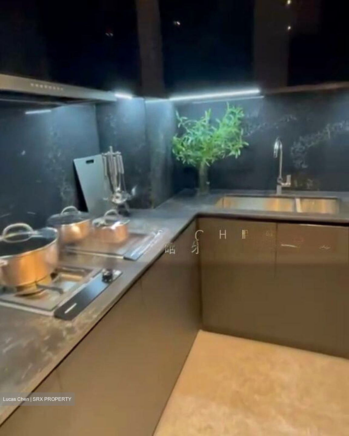 Jervois Privé (D10), Apartment #501881411